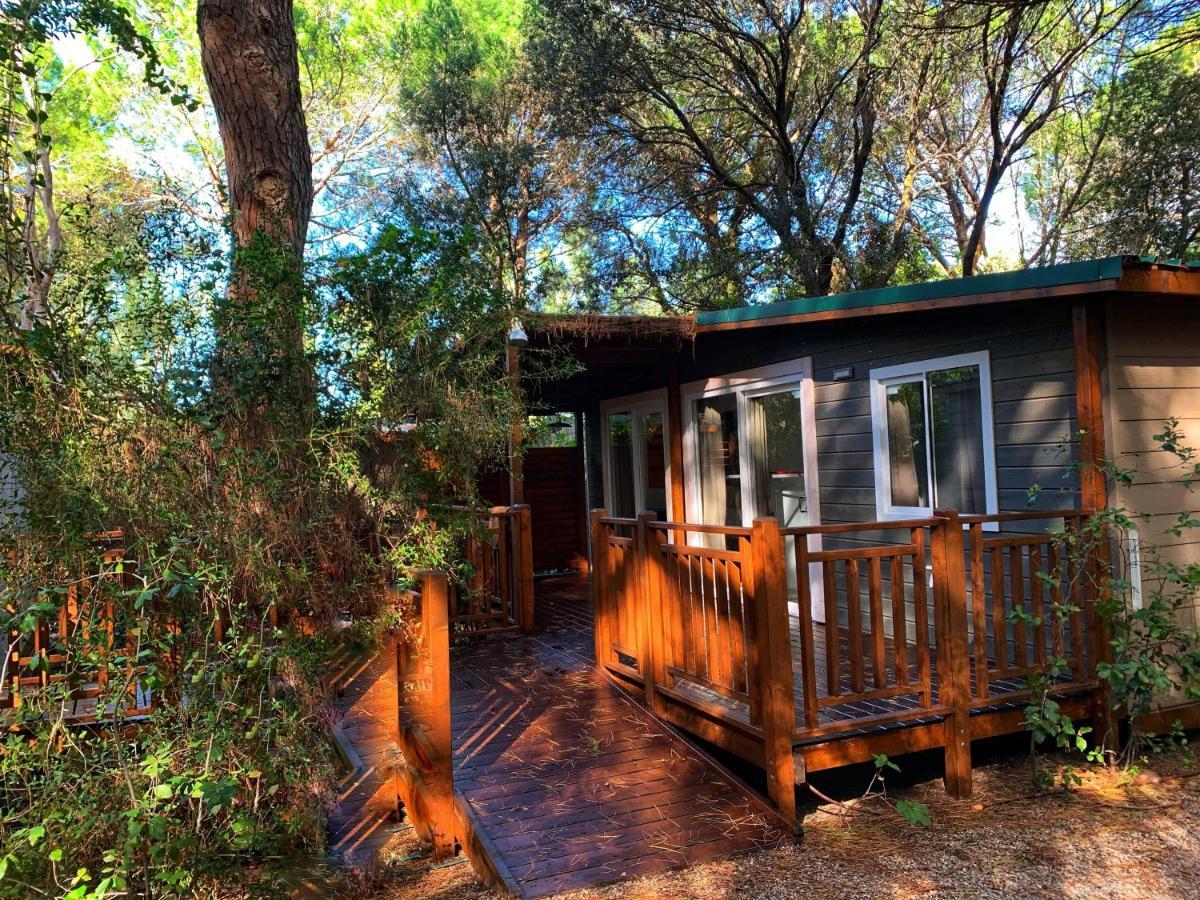Camping Maremma Sans Souci Castiglione della Pescaia Eksteriør billede