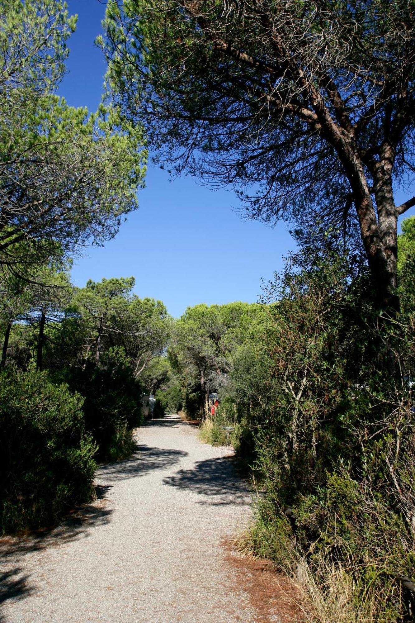 Camping Maremma Sans Souci Castiglione della Pescaia Eksteriør billede