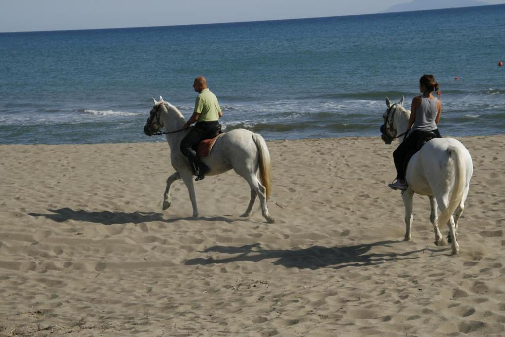 Camping Maremma Sans Souci Castiglione della Pescaia Eksteriør billede
